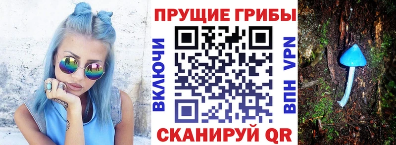 Купить где  Зарайск  Галлюциногенные грибы мицелий 